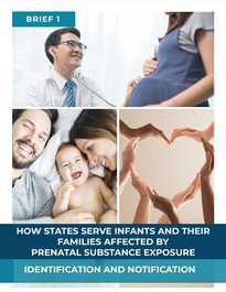 How States Serve Infants and Their Families Affected by Prenatal Substance Exposure: Brief 1 – Identification and Notification