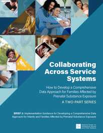 Brief 2: Implementation Guidance for Developing a Comprehensive Data Approach for Infants and Families Affected by Prenatal Substance Exposure