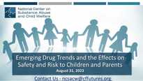 Emerging Drug Trends and the Effects on Safety and Risk to Children and Parents